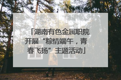 湖南有色金属职院开展“粽情端午，青春飞扬”主题活动
