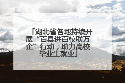 湖北省各地持续开展“百县进百校联万企”行动，助力高校毕业生就业