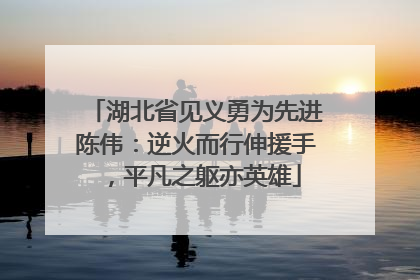 湖北省见义勇为先进陈伟：逆火而行伸援手，平凡之躯亦英雄