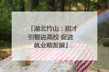 湖北竹山：招才引智进高校 促进就业助发展