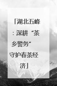 湖北五峰：深耕“茶乡警务” 守护春茶经济