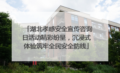 湖北孝感安全宣传咨询日活动精彩纷呈，沉浸式体验筑牢全民安全防线