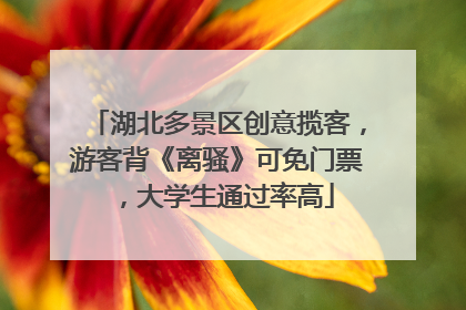 湖北多景区创意揽客，游客背《离骚》可免门票，大学生通过率高