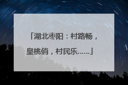 湖北枣阳：村路畅，皇桃俏，村民乐……