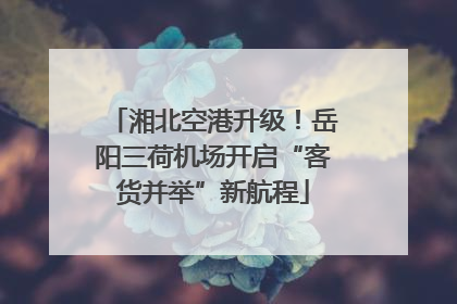 湘北空港升级！岳阳三荷机场开启“客货并举”新航程