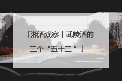湘酒观察丨武陵酒的三个“五十三 ”