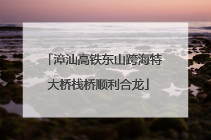 漳汕高铁东山跨海特大桥栈桥顺利合龙