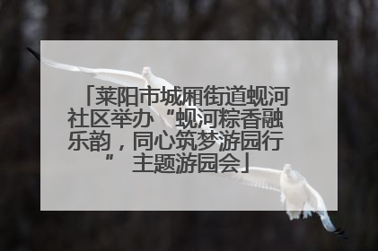 莱阳市城厢街道蚬河社区举办“蚬河粽香融乐韵，同心筑梦游园行” 主题游园会