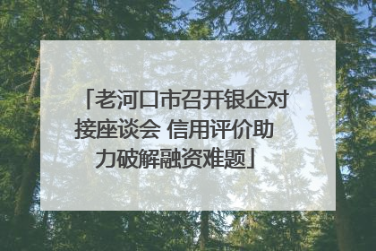 老河口市召开银企对接座谈会 信用评价助力破解融资难题