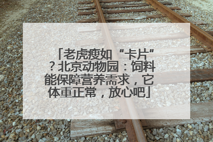 老虎瘦如“卡片”？北京动物园：饲料能保障营养需求，它体重正常，放心吧