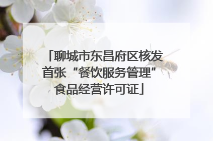聊城市东昌府区核发首张“餐饮服务管理”食品经营许可证