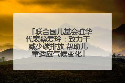 联合国儿基会驻华代表桑爱玲：致力于减少碳排放 帮助儿童适应气候变化