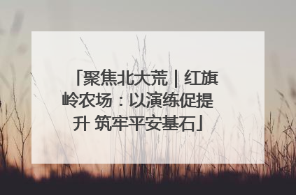聚焦北大荒｜红旗岭农场：以演练促提升 筑牢平安基石