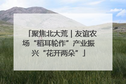 聚焦北大荒｜友谊农场“稻耳轮作”产业振兴“花开两朵”