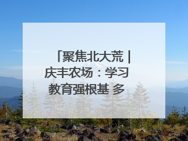 聚焦北大荒｜庆丰农场：学习教育强根基 多管齐下助发展