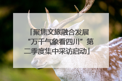 聚焦文旅融合发展 “万千气象看四川”第二季度集中采访启动