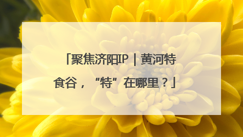 聚焦济阳IP｜黄河特食谷，“特”在哪里？