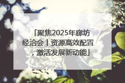 聚焦2025年廊坊经洽会丨资源高效配置，激活发展新动能
