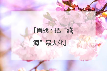 肖战：把“藏海”最大化