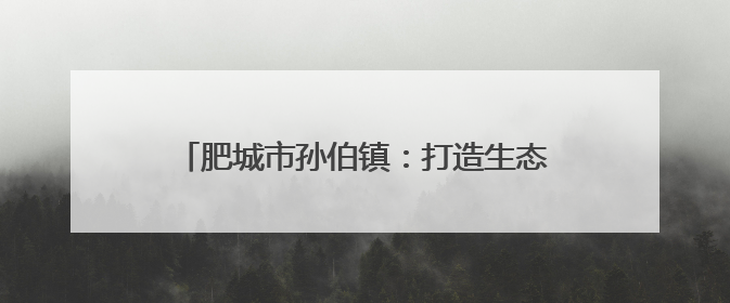 肥城市孙伯镇：打造生态河道筑牢汛期安全防线