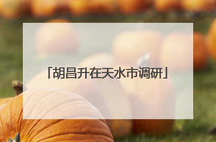 胡昌升在天水市调研