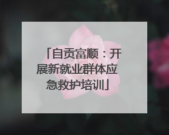 自贡富顺：开展新就业群体应急救护培训