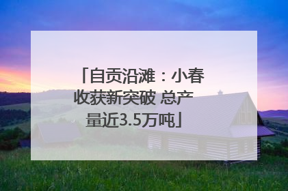 自贡沿滩：小春收获新突破 总产量近3.5万吨