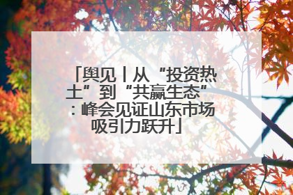 舆见丨从“投资热土”到“共赢生态”：峰会见证山东市场吸引力跃升