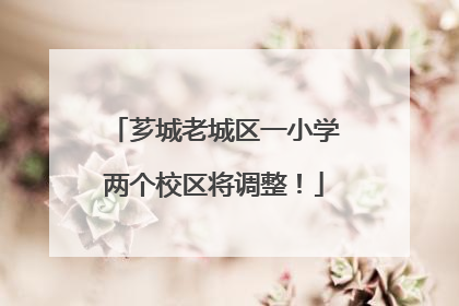 芗城老城区一小学两个校区将调整！