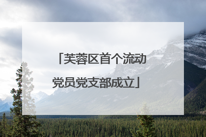 芙蓉区首个流动党员党支部成立