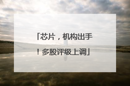 芯片，机构出手！多股评级上调