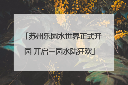 苏州乐园水世界正式开园 开启三园水陆狂欢
