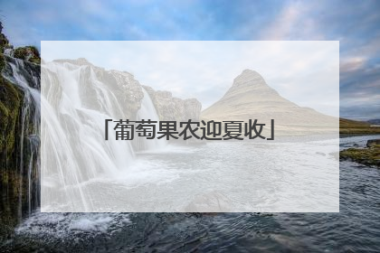 葡萄果农迎夏收