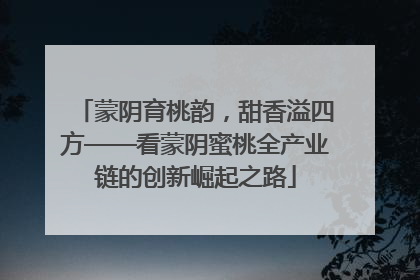蒙阴育桃韵，甜香溢四方——看蒙阴蜜桃全产业链的创新崛起之路