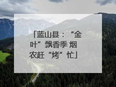 蓝山县：“金叶”飘香季 烟农赶“烤”忙