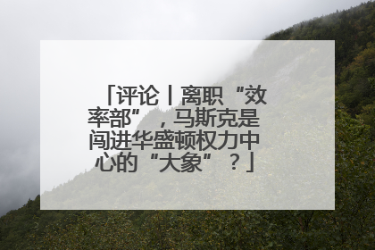 评论丨离职“效率部”，马斯克是闯进华盛顿权力中心的“大象”？