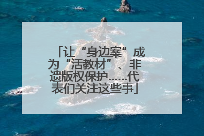让“身边案”成为“活教材”、非遗版权保护……代表们关注这些事