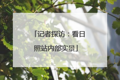 记者探访：看日照站内部实景