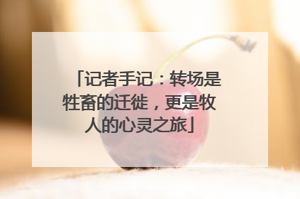 记者手记：转场是牲畜的迁徙，更是牧人的心灵之旅