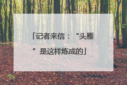 记者来信：“头雁”是这样炼成的