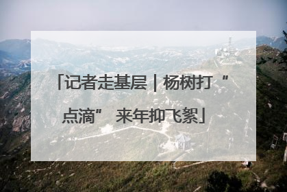 记者走基层｜杨树打“点滴” 来年抑飞絮