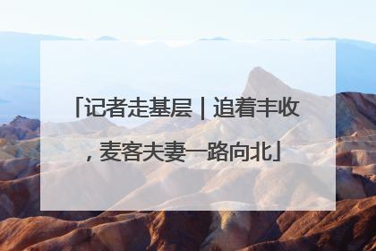 记者走基层｜追着丰收，麦客夫妻一路向北