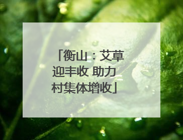 衡山：艾草迎丰收 助力村集体增收