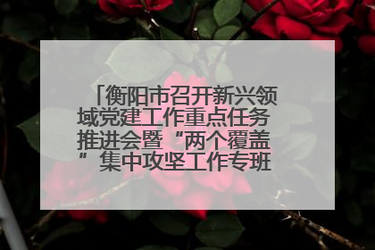 衡阳市召开新兴领域党建工作重点任务推进会暨“两个覆盖”集中攻坚工作专班 第一次会议
