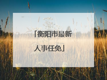 衡阳市最新人事任免