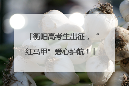 衡阳高考生出征，“红马甲”爱心护航！