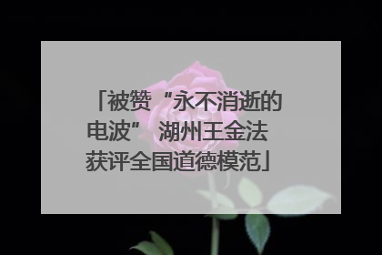 被赞“永不消逝的电波” 湖州王金法获评全国道德模范