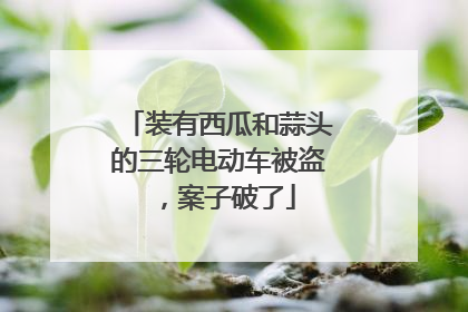 装有西瓜和蒜头的三轮电动车被盗，案子破了
