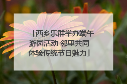 西乡乐群举办端午游园活动 邻里共同体验传统节日魅力