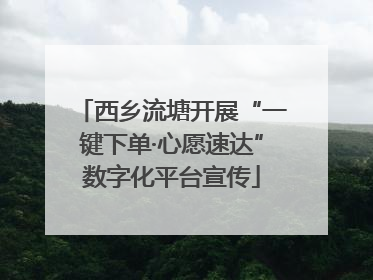 西乡流塘开展“一键下单·心愿速达”数字化平台宣传